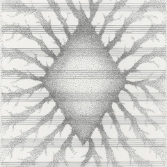 Les coïncidences (NoveMMix)