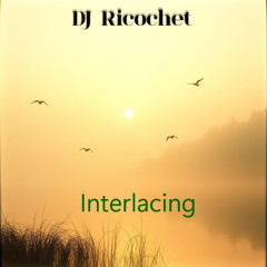 Interlacing