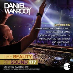 Daniel Wanrooy - The Beauty Of Sound 177