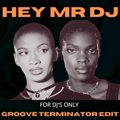 HEY MR DJ (GROOVE TERMINATOR EDIT)