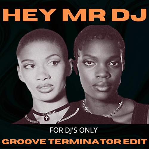 HEY MR DJ (GROOVE TERMINATOR EDIT)