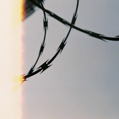 She Does Whatever Her Friends Do