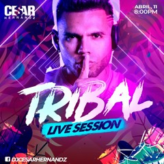 CON SABOR A TRIBAL