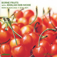 Borne Fruits with Amaliah b2b Moxie - 08 August 2022