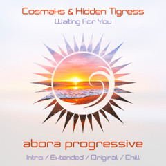 Cosmaks & Hidden Tigress - Waiting For You (Extended Mix)
