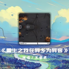 《重生之我在异乡为异客》- 王睿卓 「那远山呼唤，我曾千百次路过」【动态歌词】