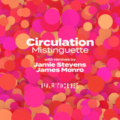 Premiere: Circulation - Mistinguette (James Monro Remix) [Particles]