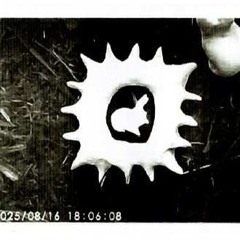 Pevloom Beats 2025 Day 2