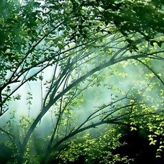 Caution or Emotion [sample]