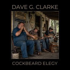 Cockbeard elegy
