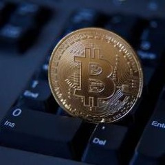 2022 One Coin Trip (No.205) 2022 - 04 - 08 0003