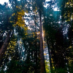 Another (prod. Kupla)