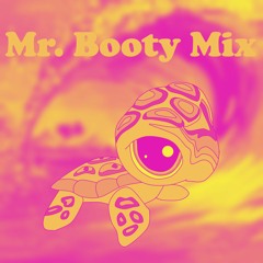 Mr. Booty Mix 8 (All My Friends x Fireworks x Time of Our Lives)