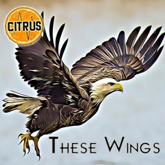 Born With These Wings by Citrus Beats feat. Chelle