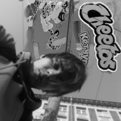 Cheetos Freestyle (prod. by wayza)