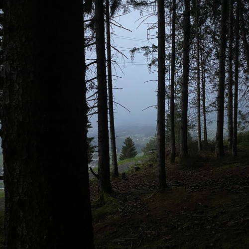 Mountain Thunderstorm - Relaxing Ambient Sound - SASS Micro