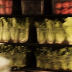 grocery shopping