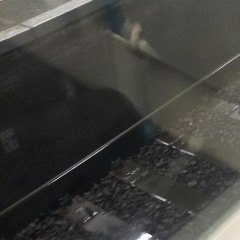 im in love with a german filmstar (cover)