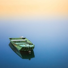 fleeting fleet