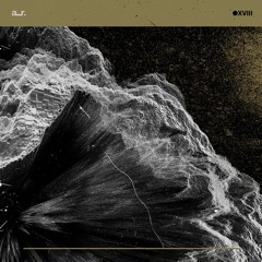 TL PREMIERE : Carlton Doom - Bubble Guts [Acroplane Recordings]
