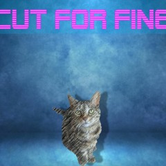 Flies In The Winnebago