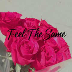 Feel The Same Prod. Freddesires