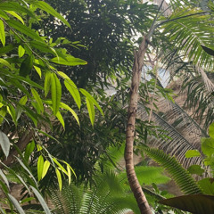 broken clocks (remix)