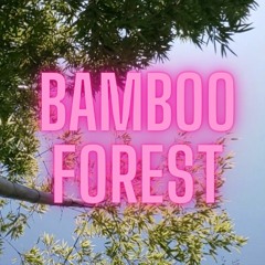 Bamboo Forest - PEARL Fiber Conga 211F, Korg Mono/Poly, MXL TEMPO KR condenser microphone,