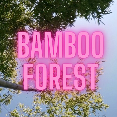 Bamboo Forest - PEARL Fiber Conga 211F, Korg Mono/Poly, MXL TEMPO KR condenser microphone,
