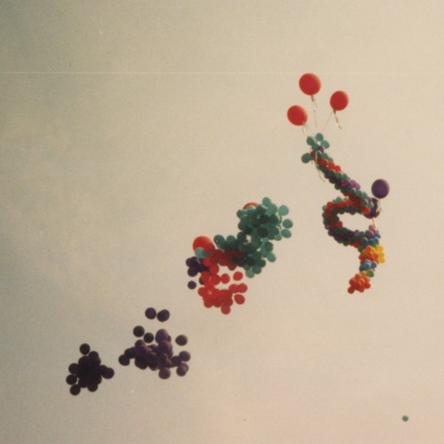 Radio Buttons #98 - Rizu X