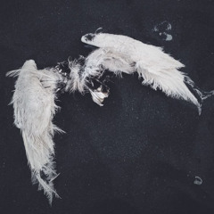 saint (ft. gothraver)