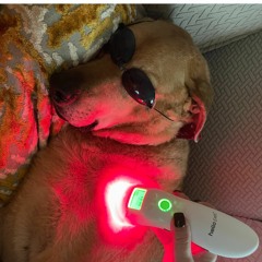 "Laugh it off like a Running Joke" by 420HEF | made on the Rapchat app (prod. by DoctorJbeats)