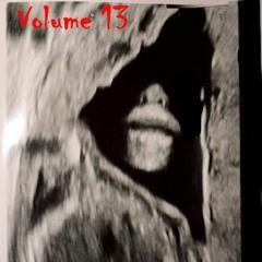 Volume13 Justbleed