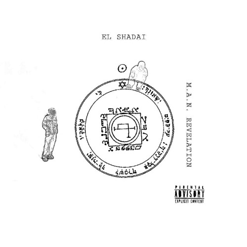 Seal 37