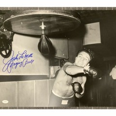 Ole Skool Speed Bag Hits