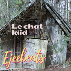 Le chat laid