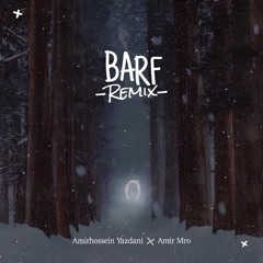 Barf (Remix) [feat. Mehrad Hidden]