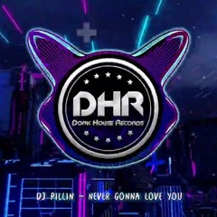 DJpillin Never Gonna Love You Remix