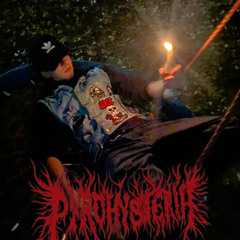 BURN DOWN THE PARLIAMENT