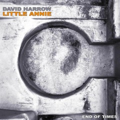 PREMIERE: DAVID HARROW - End Of Times Ft Little Annie (Rude Audio's Protean Remix)