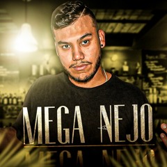MEGANEJO (ESPECIAL OUTUBRO 2020) - V A N Z