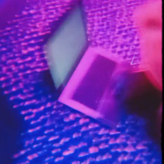 We Are Birds (Live)