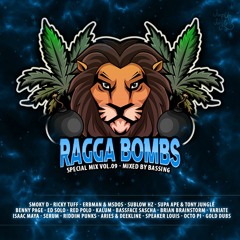 RAGGA BOMBS - Special Mix Vol.9 (Mixed By Bassing)