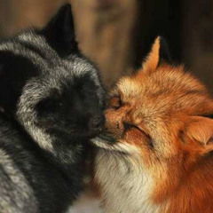 JƎNNY MNƎM0NIC - 狐の嫁入り MIX