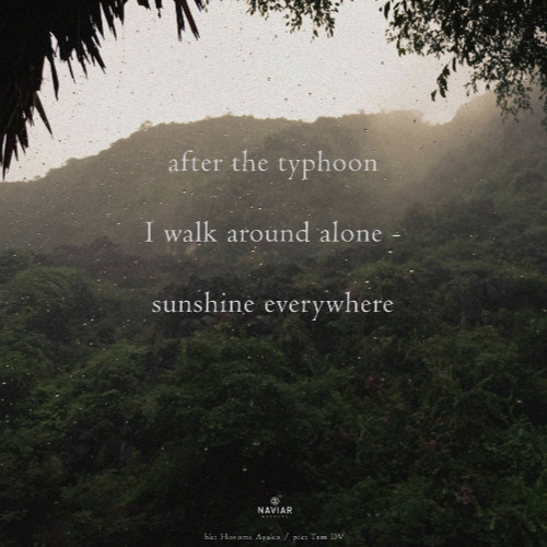 After The Typhoon (NaviarHaiku598)