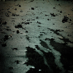 In the Court of Mustilli's Winery_Ape