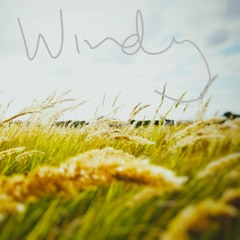 Windy