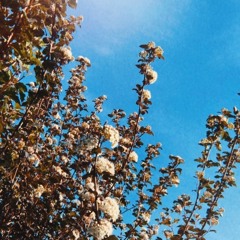 summer