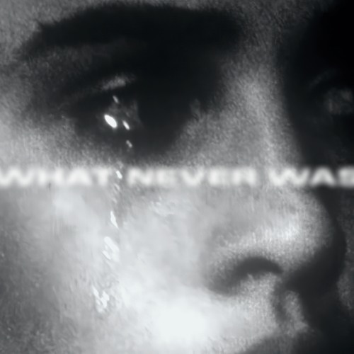 LXV031 - Various Artists - WHAT NEVER WAS Vol. VI