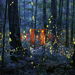 redrum 2 (fireflies) (toyema)